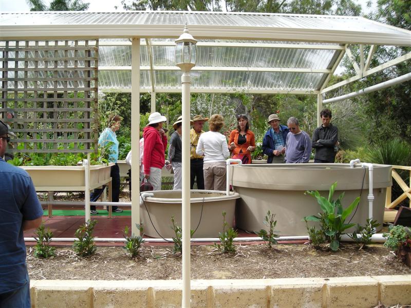 DSCN0236 (Medium).JPG