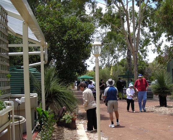 DSCN0227 (Medium).JPG