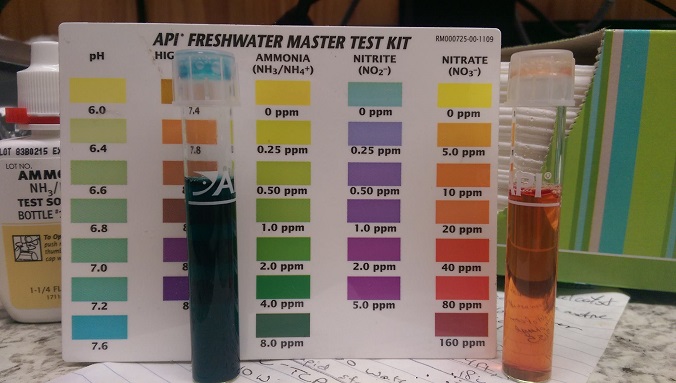 Nitrates (Resized).jpg