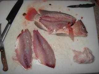 1st Blood Disassembly.jpg