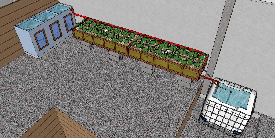 Aquaponia à Beira Mar -  Sistema Aquapônico 1 Tanque + 1 IBC + 2 Leitos Madeira Compensada-Blog.jpg