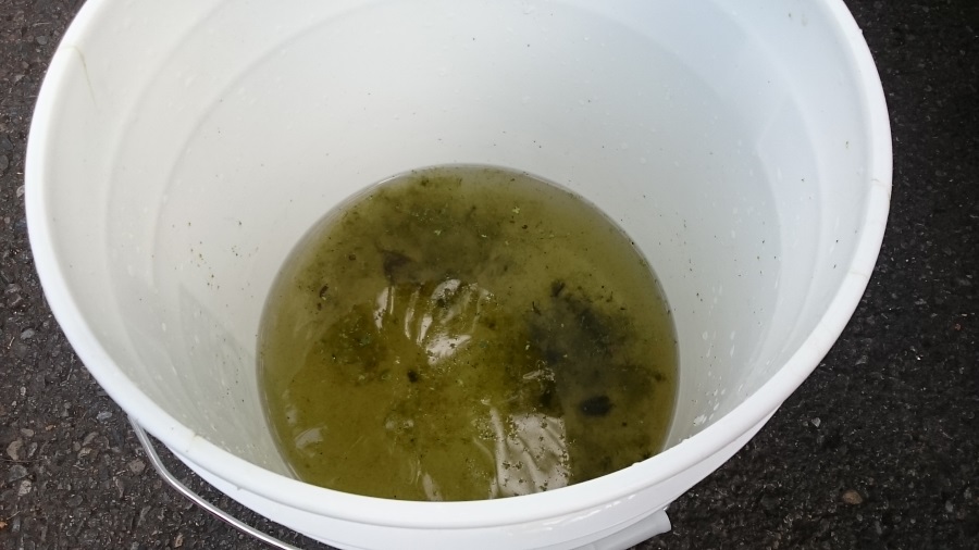 2015-07-12 15.50.25-900.jpg