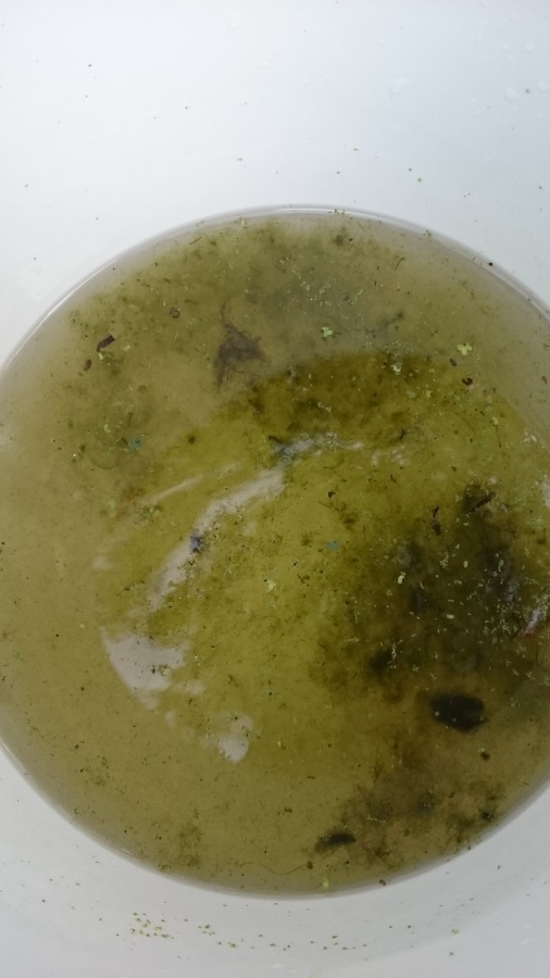 2015-07-12 15.50.19-900.jpg