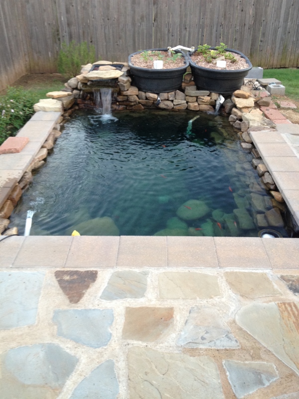 IMG_1445 (600x800).jpg