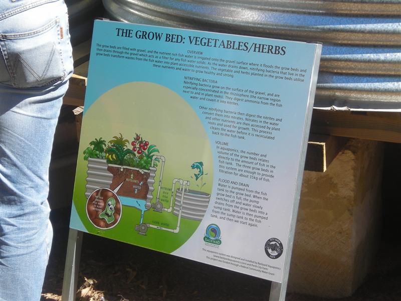 DSCN0255 (Medium).JPG