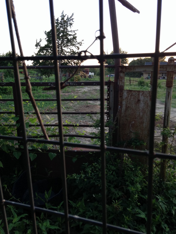 View to outside garden.JPG