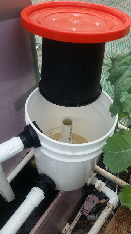 SoCal-Aquaponics-System-filter.jpg