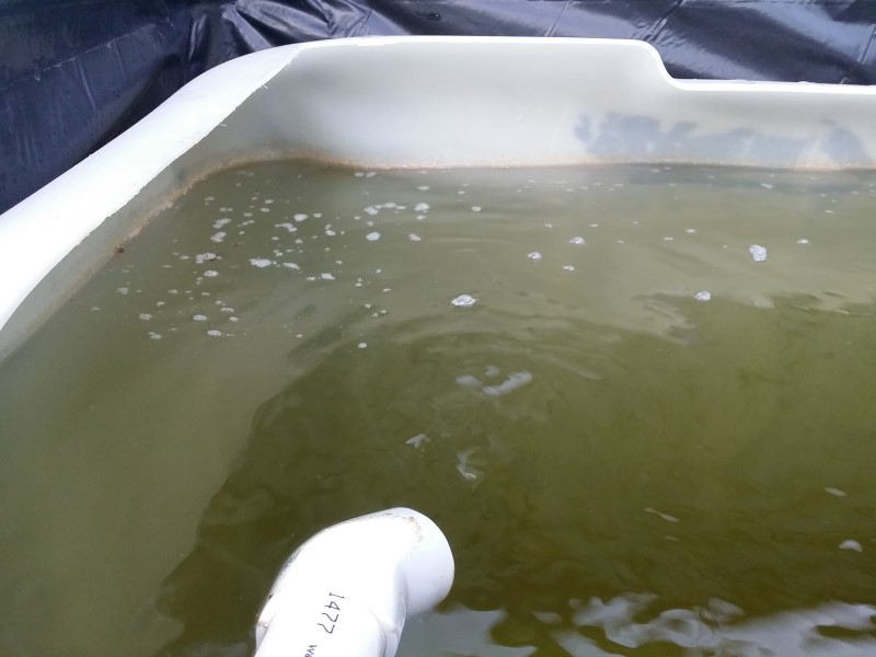 20150719_165226 (Custom).jpg