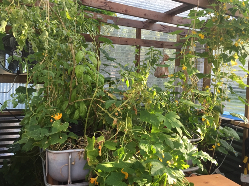 Aquagarden (800x600).jpg