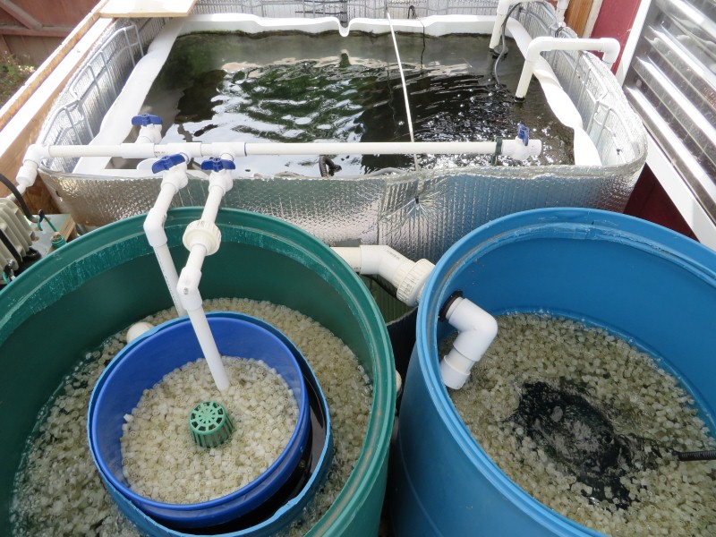 IMG_0407 (Custom).JPG