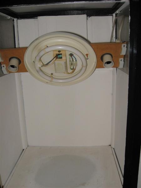 IMG_0313 (Medium).jpg