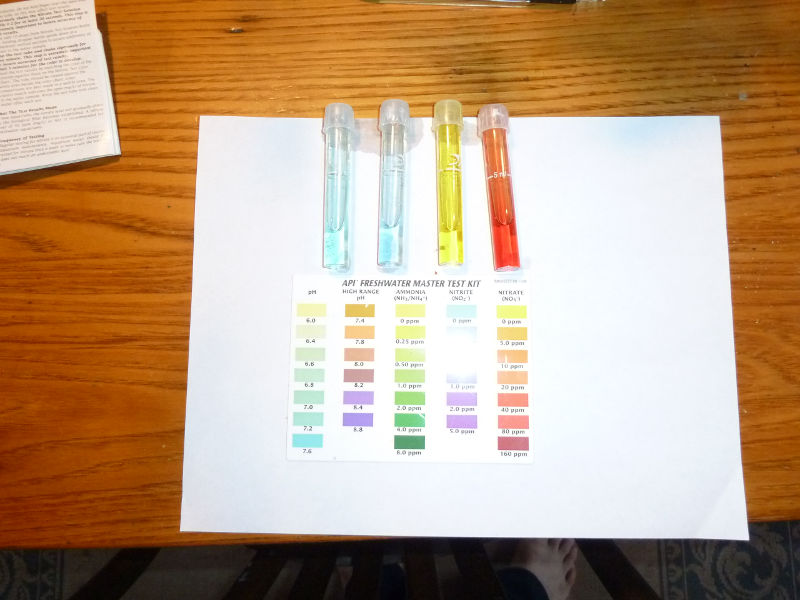 aquarium-left-Fish-Pond-right-Nitrites-nitrates.JPG