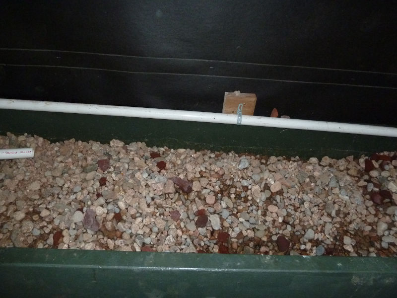 upper-grow-bed-still-has-one-leak-still-needs-more-scoria-clay-beads.JPG