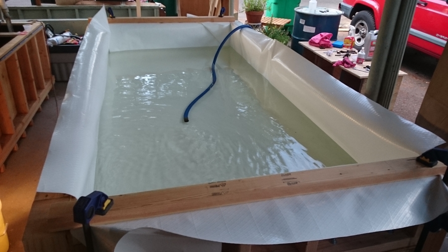 2015-08-11 19.34.52-900.jpg