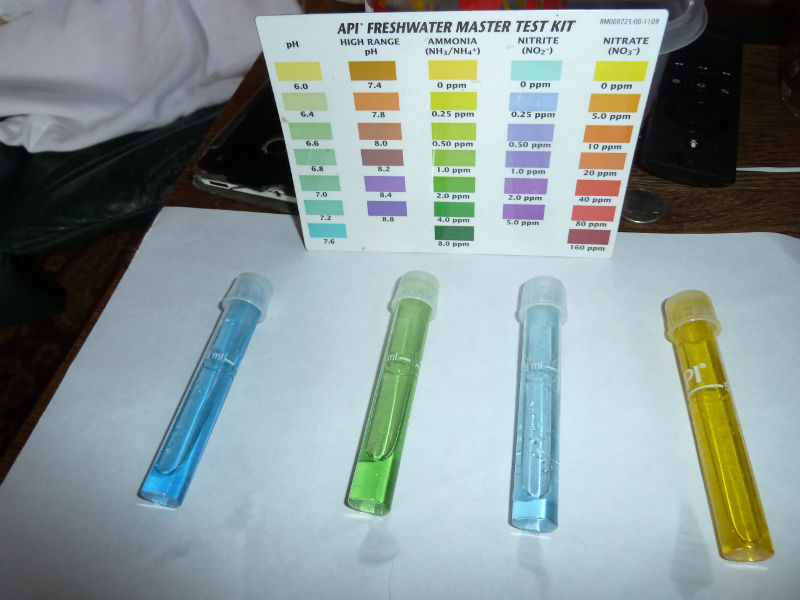 August-2015-pH-Ammonia-Nitrite-Nitrate-tests.JPG