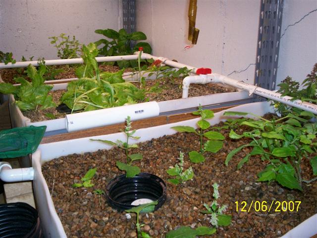 000_0392 (Small).jpg