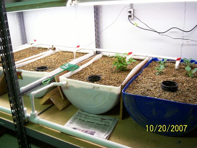 000_0372 (Small).jpg