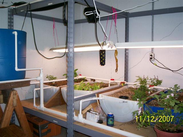 100_0378 (Small).jpg