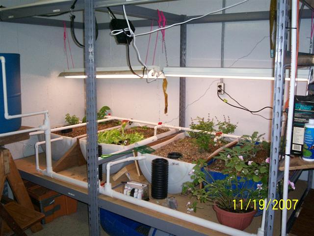 000_0384 (Small).jpg