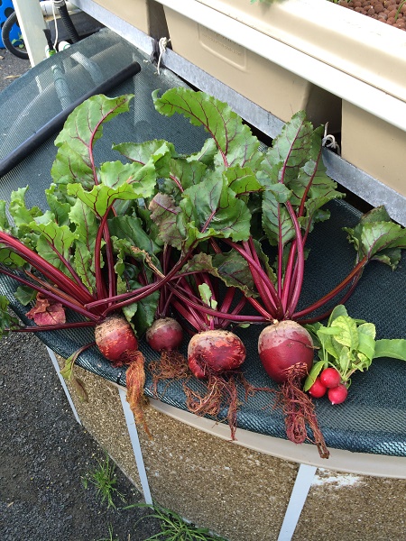 IMG_2430 resized.jpg