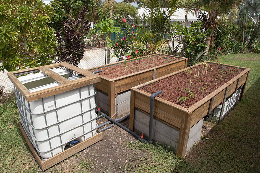 IMG_25829a (small).jpg