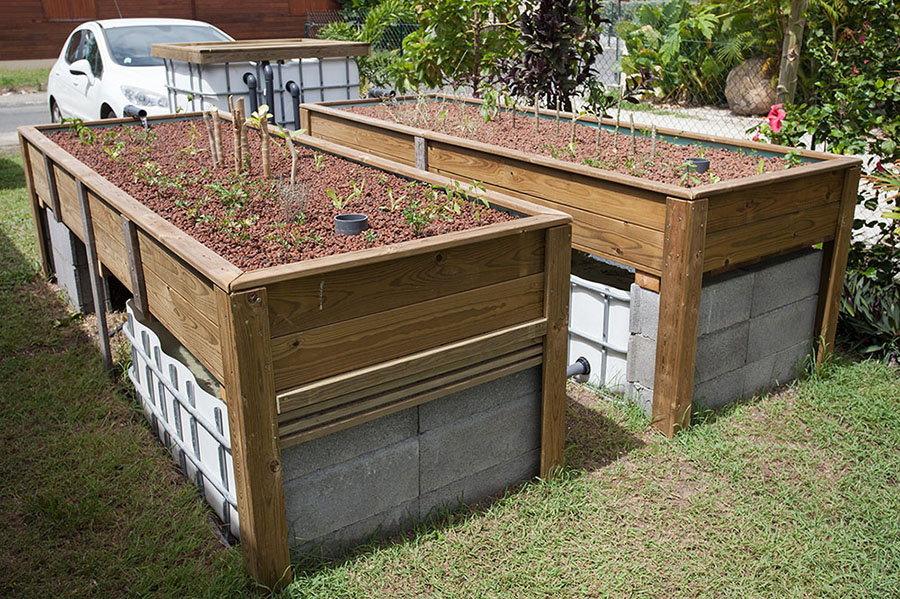 IMG_25824a (small).jpg