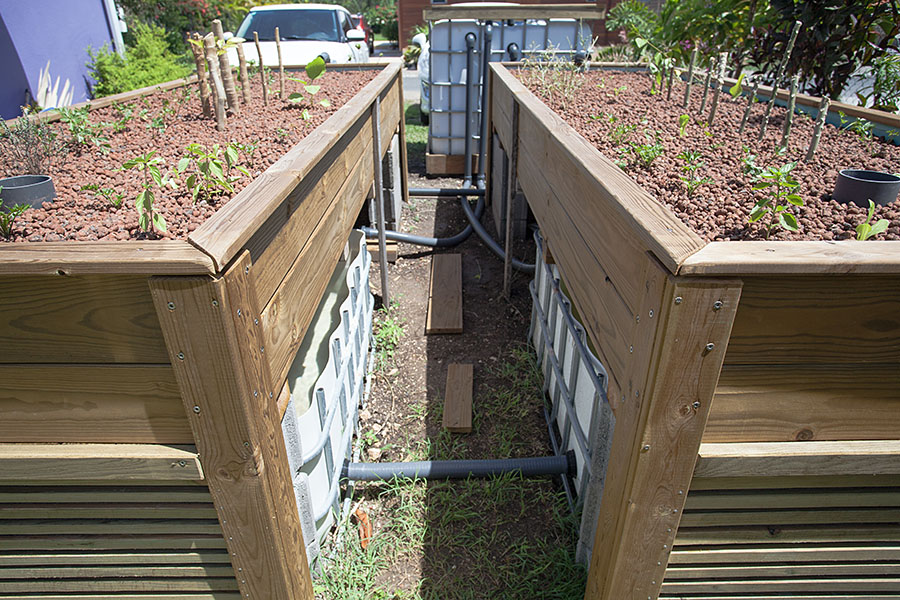 IMG_25835a (small).jpg