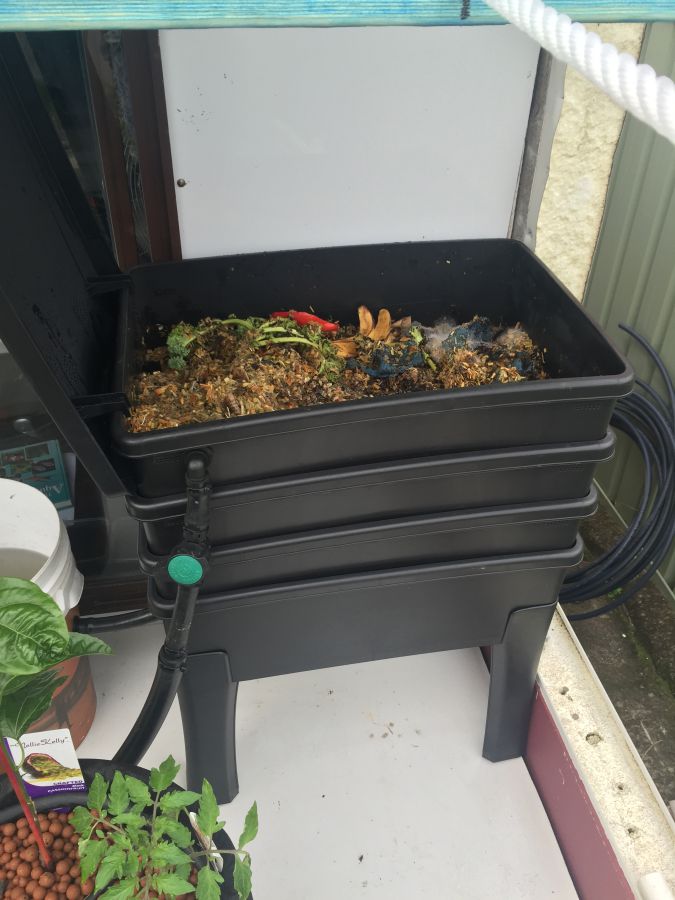 2015-08-27 09.28.01 HDR_compressed.jpg