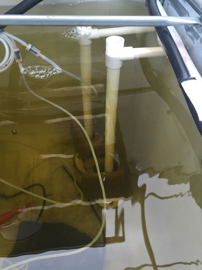 2015-08-27 09.27.31_compressed.jpg