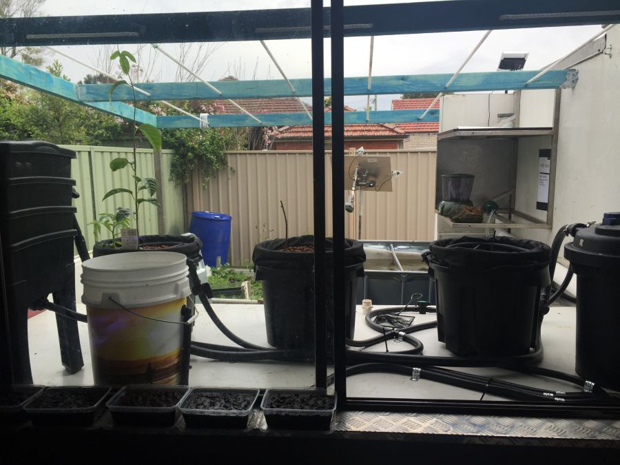 2015-08-27 09.30.14_compressed.jpg