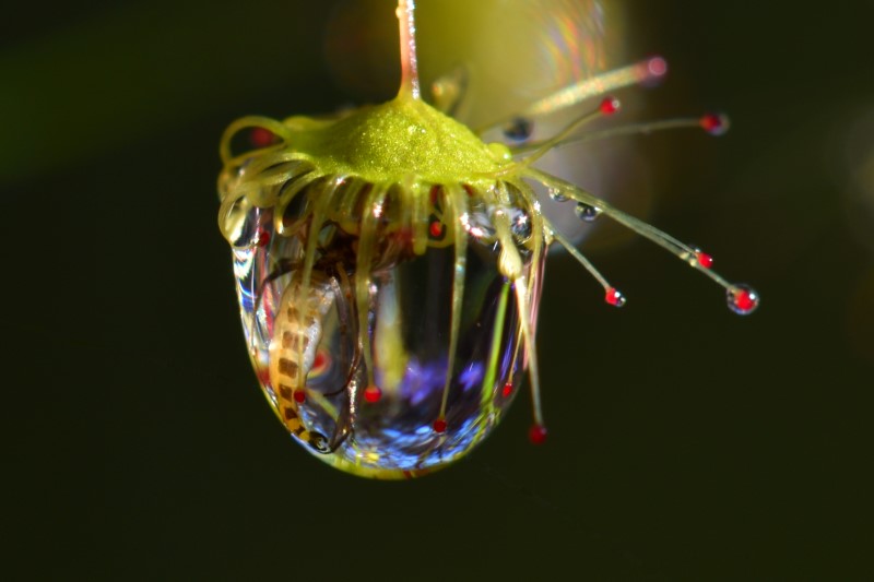 DSC_1026 1 (Custom).jpg