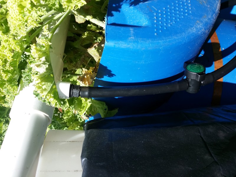 20150830_142138 (Custom).jpg