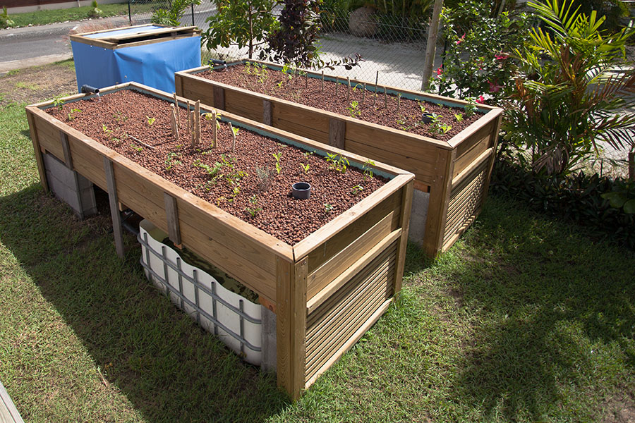 IMG_25888a (small).jpg