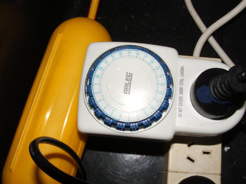 DSCF2685 (Medium).JPG