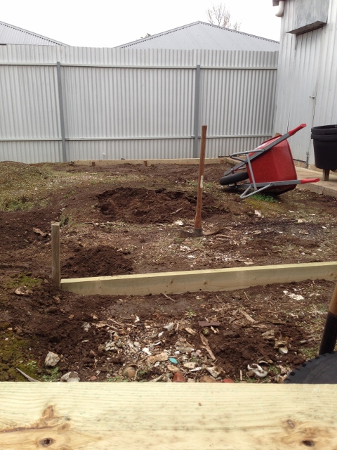 IMG_0514 (480x640).jpg