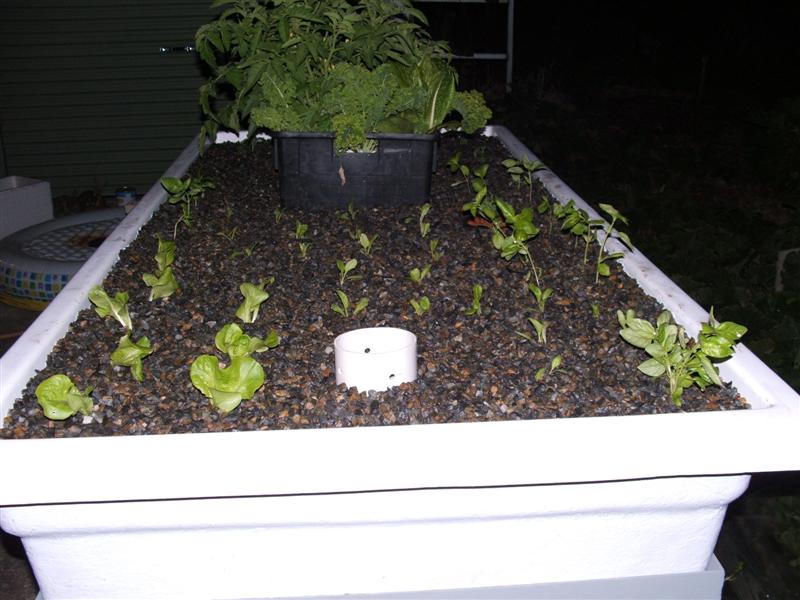 DSCF2679 (Medium).JPG