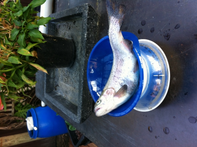 IMG_1209[2] (640x478).jpg