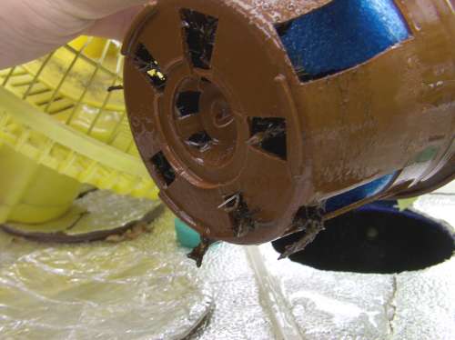 aquabasil-11-12- 006-500.jpg