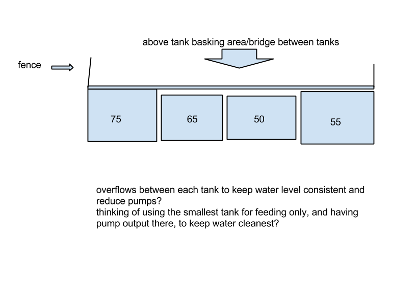 turtle tanks, basic basking idea.png