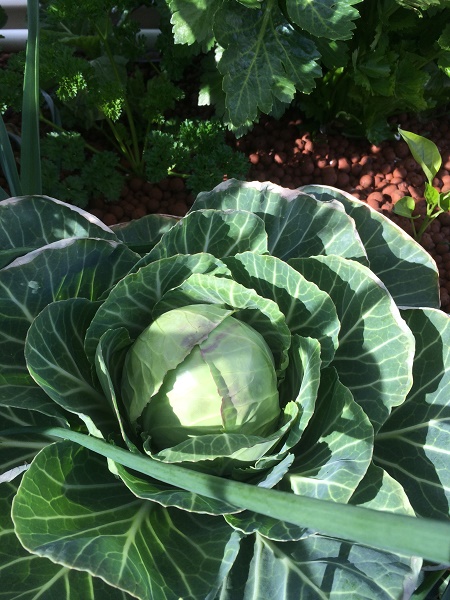 IMG_2479 resized.jpg