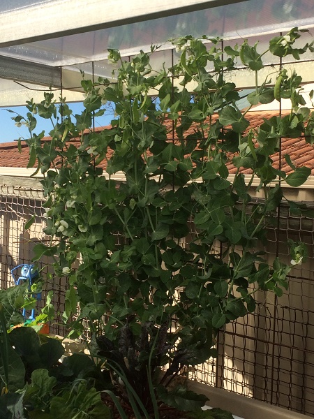 IMG_2477 resized.jpg