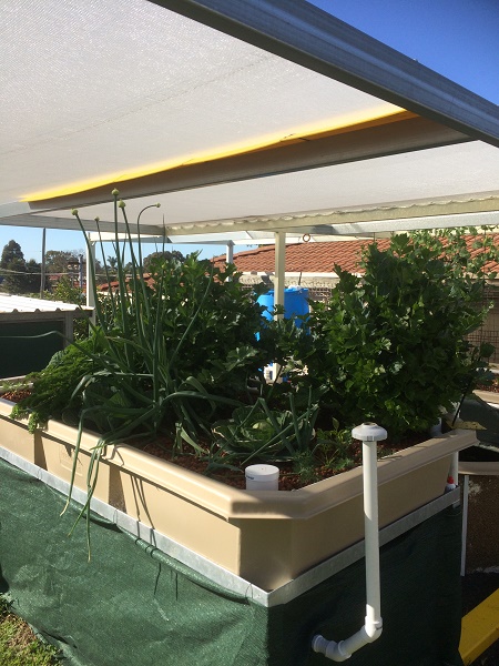 IMG_2476 resized.jpg