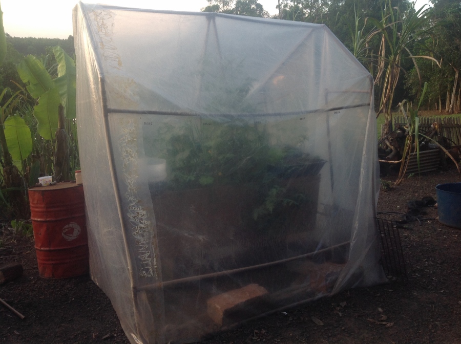 IMG_1821 (900x672).jpg