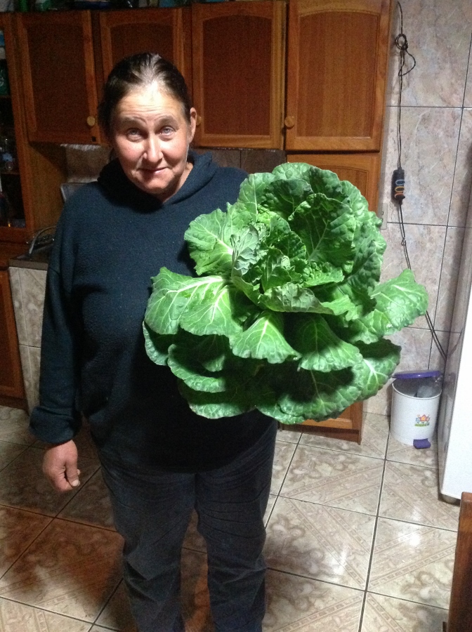 IMG_1832 (672x900).jpg