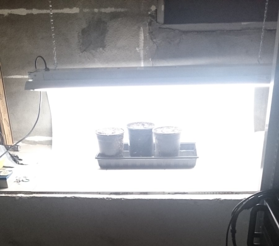 2015-09-17 18.15.15.jpg