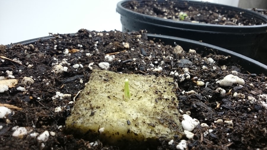 2015-09-17 21.51.46-900.jpg