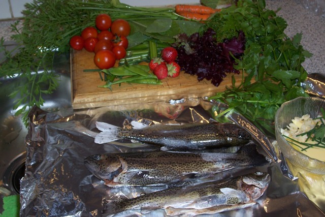 Tonights harvest.jpg