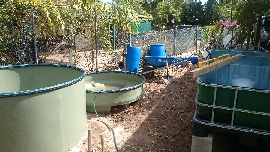 2015-09-18 10.06.24small.jpg