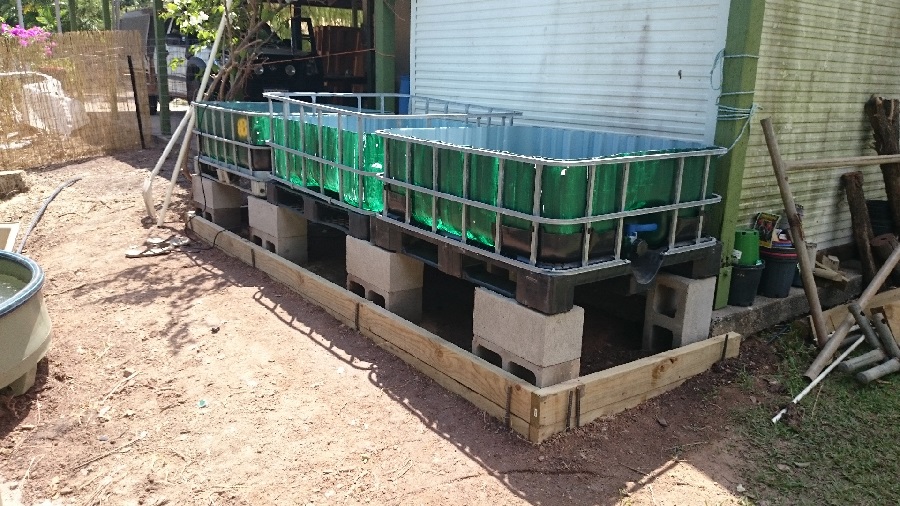 2015-09-19 11.23.16small.jpg