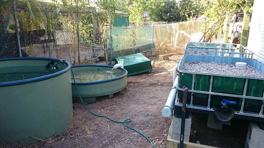 2015-09-19 16.42.17small.jpg